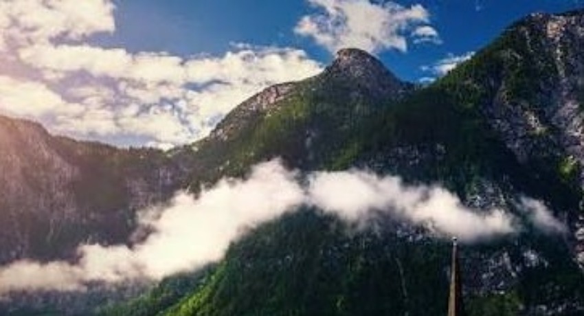 我们的初心 - 海角社区 - 用创意连接品牌与用户的出发点